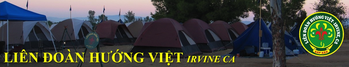 Liên Đoàn Hướng Việt Banner